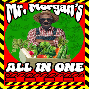Mr.Morgan's ALL IN ONE